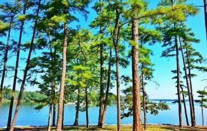 Dreher Island State Park