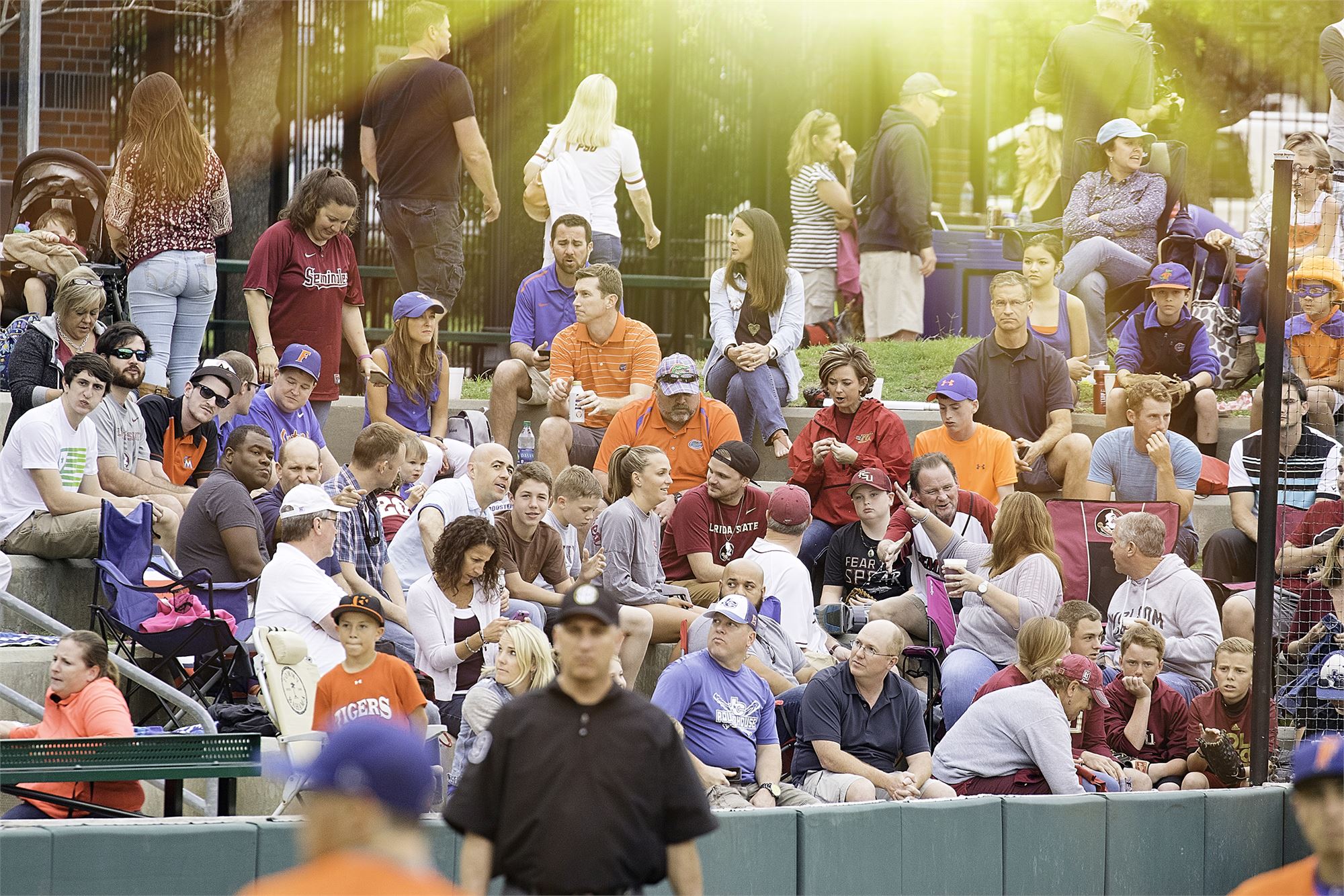 Fsu vs uf baseball