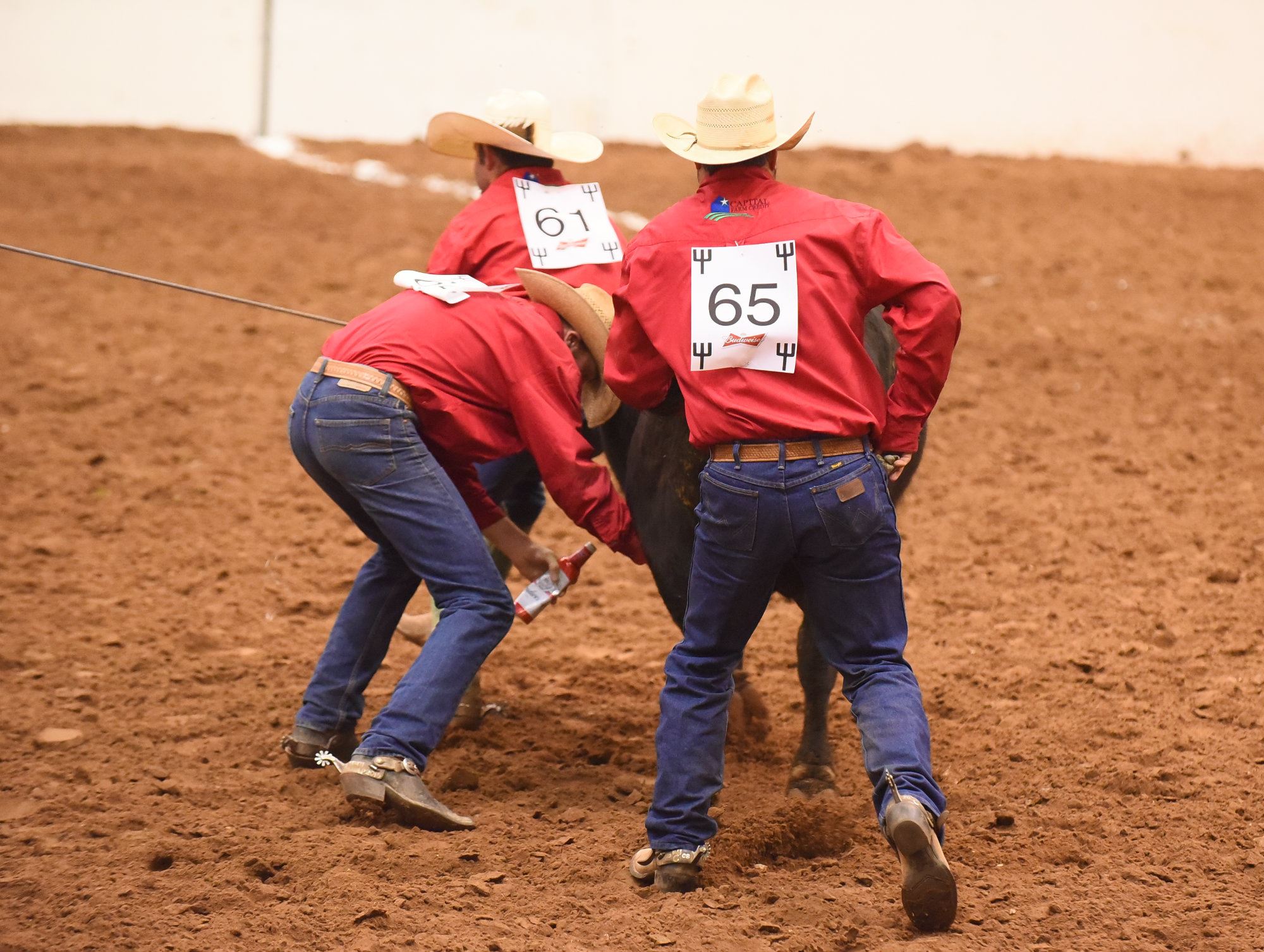 Pitchfork Land & Cattle Company