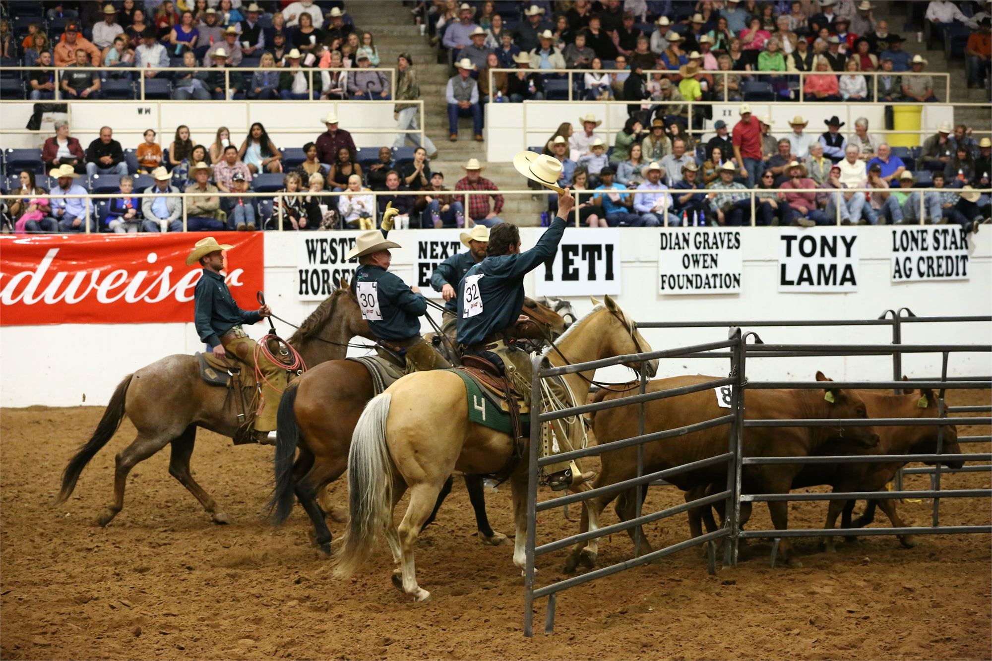 Haythorn Land & Cattle Co.