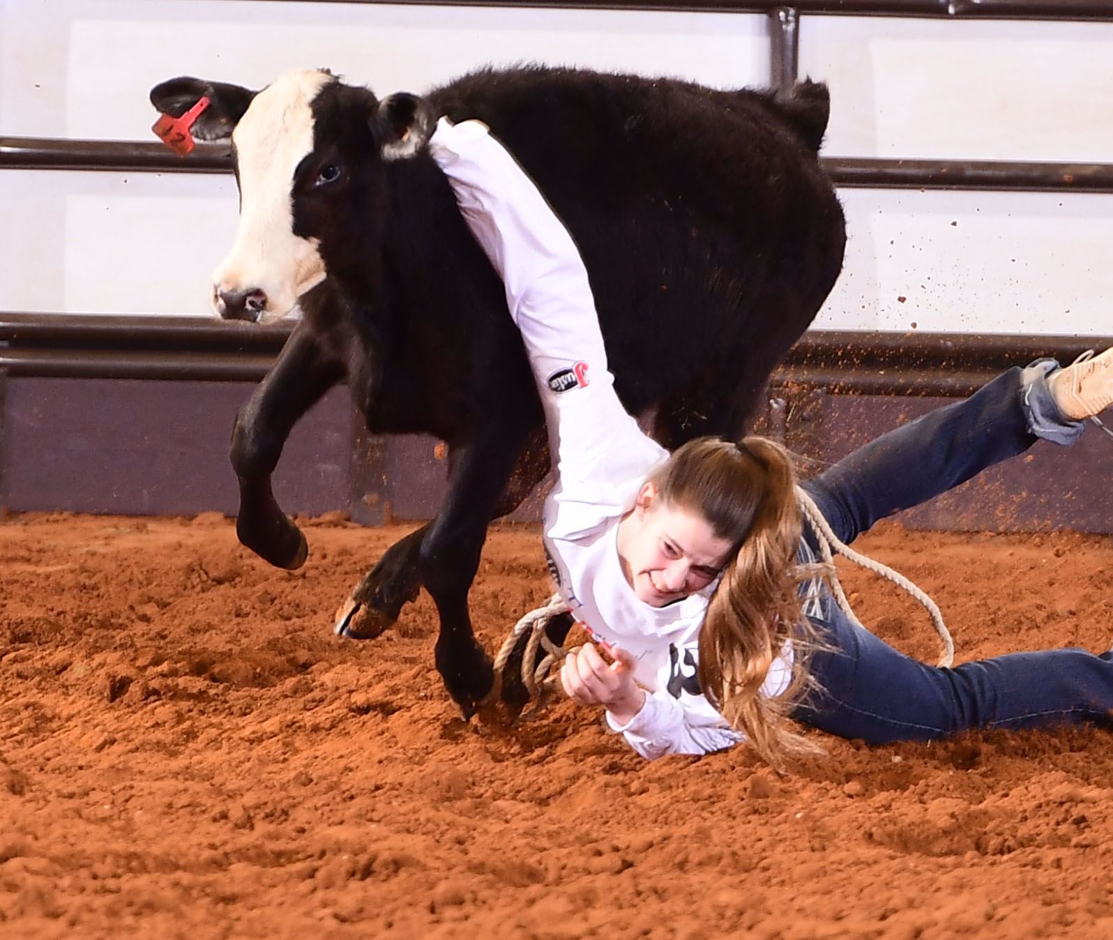 San antonio calf scramble image