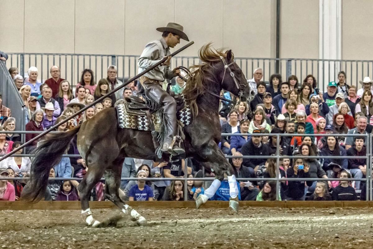 10th Annual Washington State Horse Expo