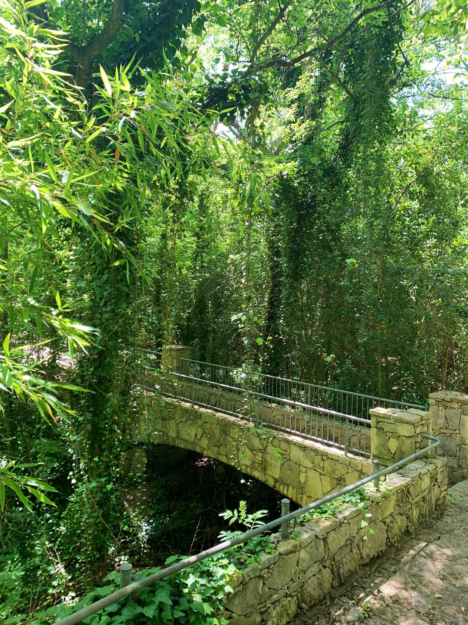 MustVisit Attractions and Things to Do in Dripping Springs