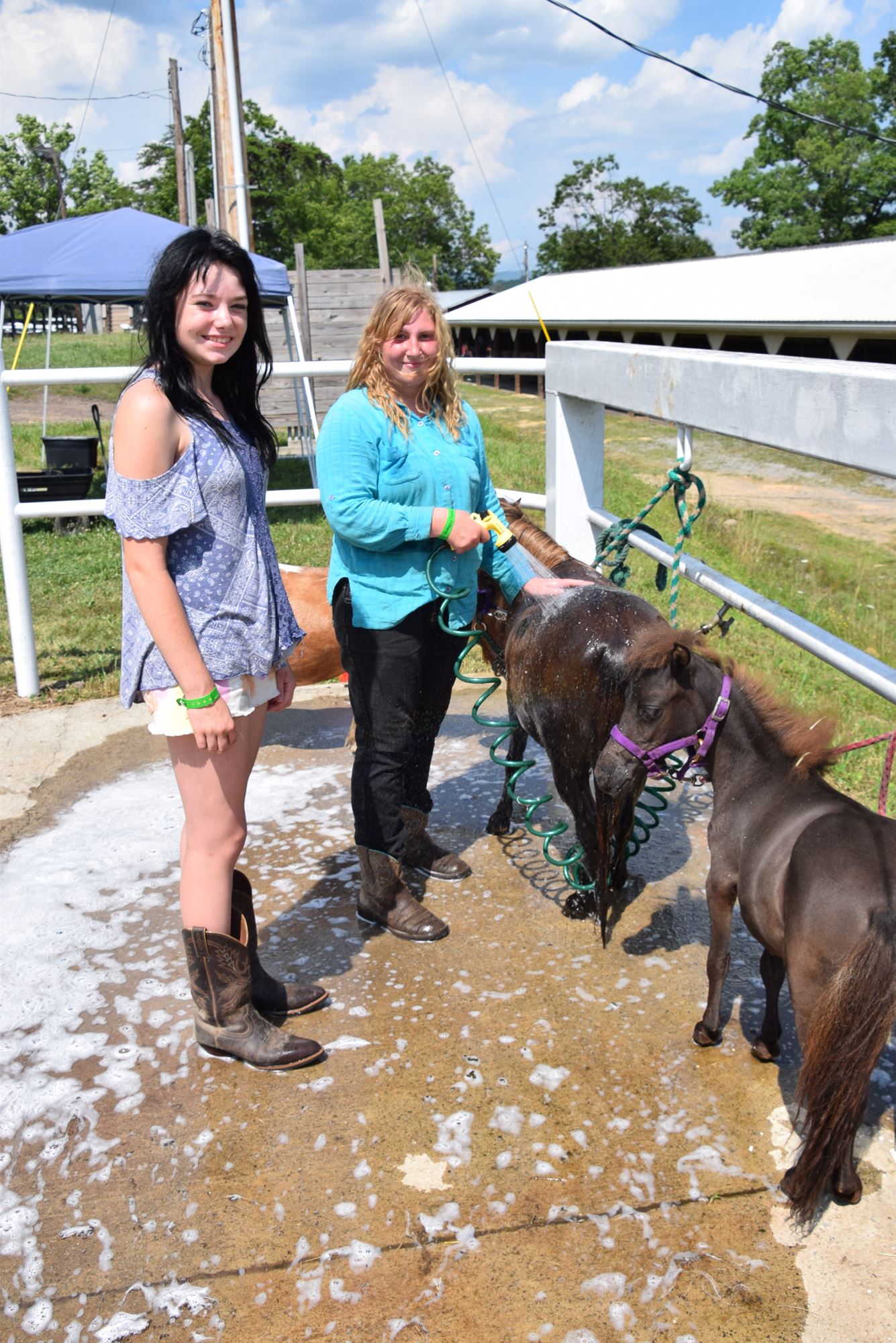 Department 101 Junior Horse & Pony