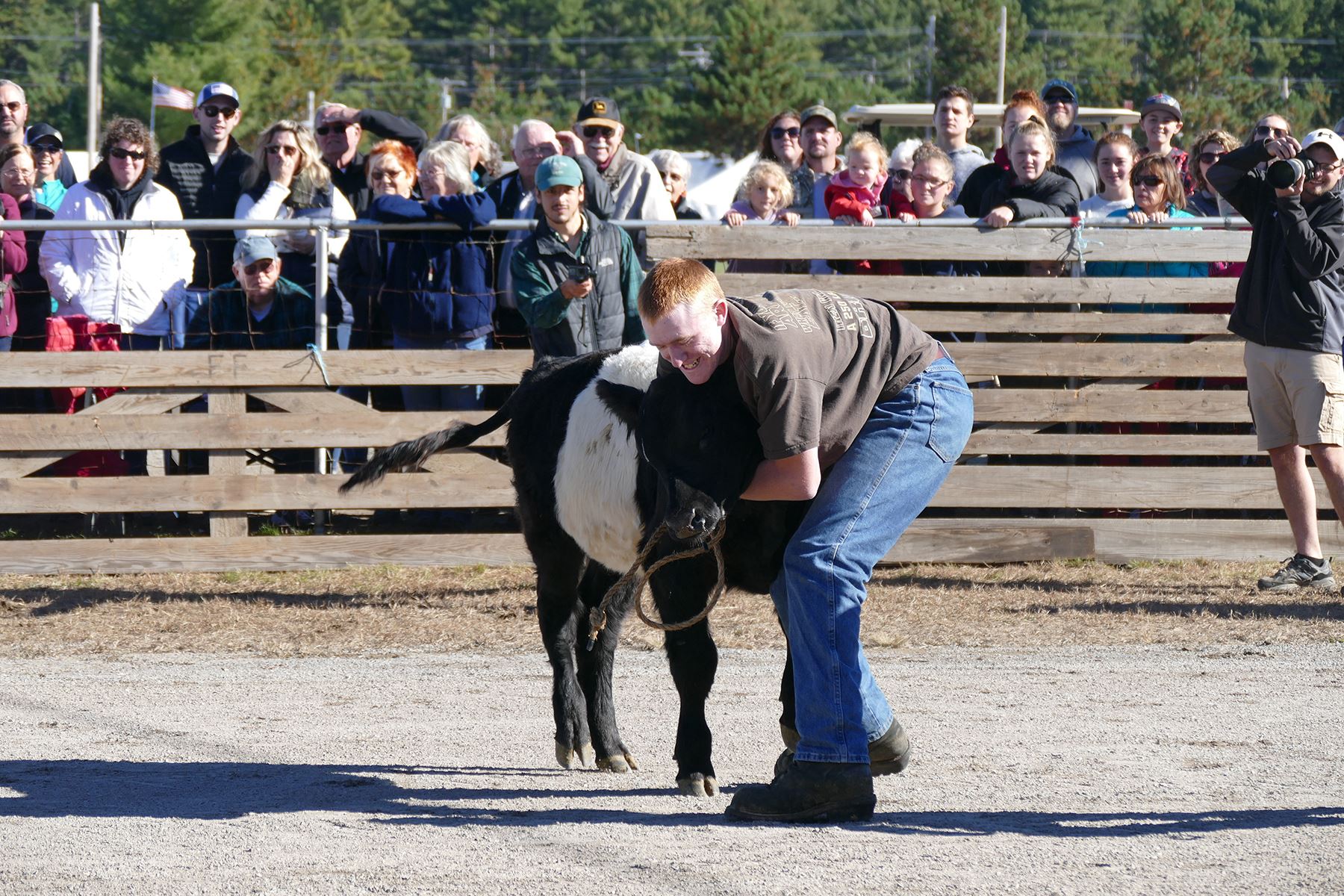 Hlsr calf scramble image