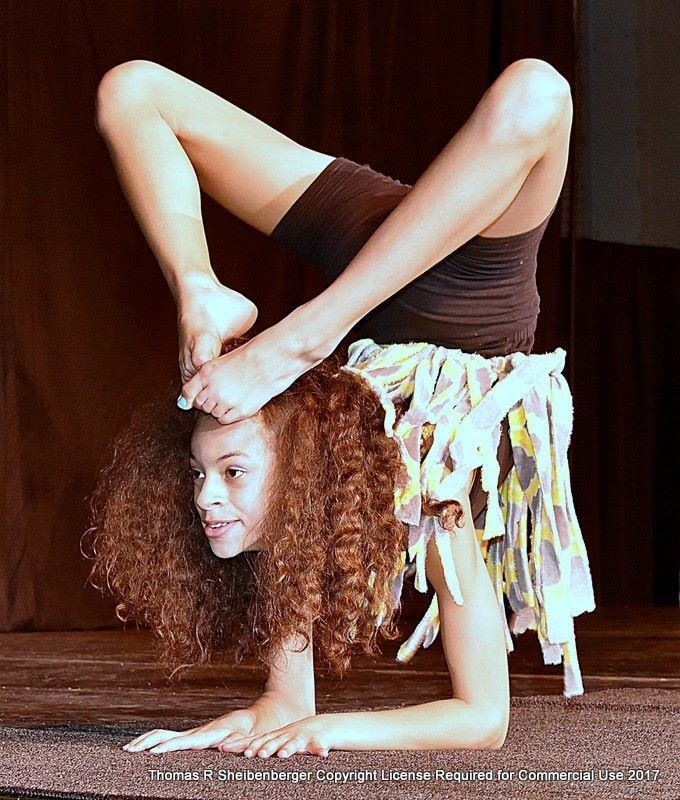 2019-louisiana-state-fair-livestock-show-semashow