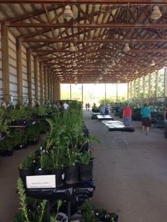 master gardener plant sale