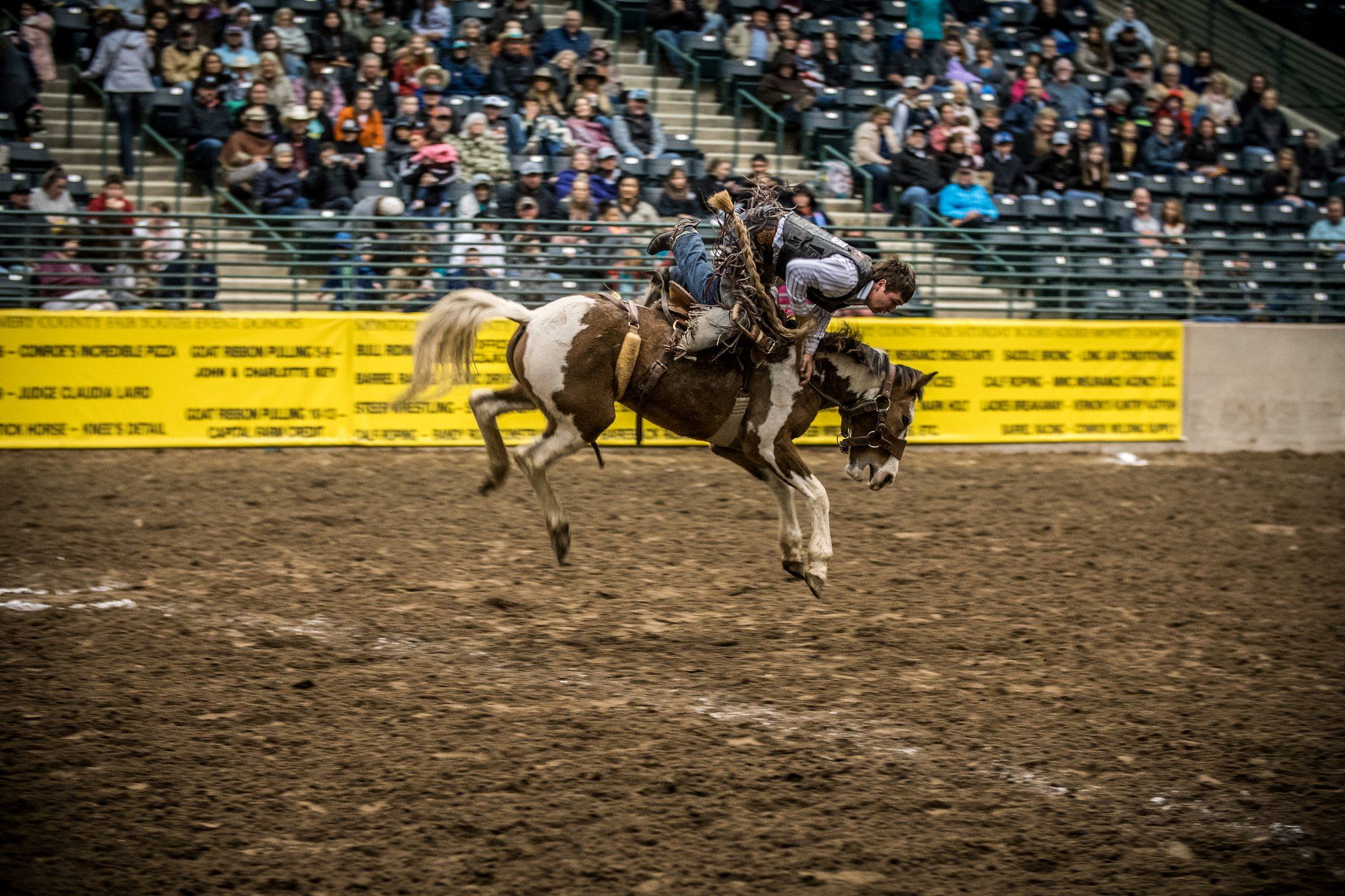 CPRA Rodeo