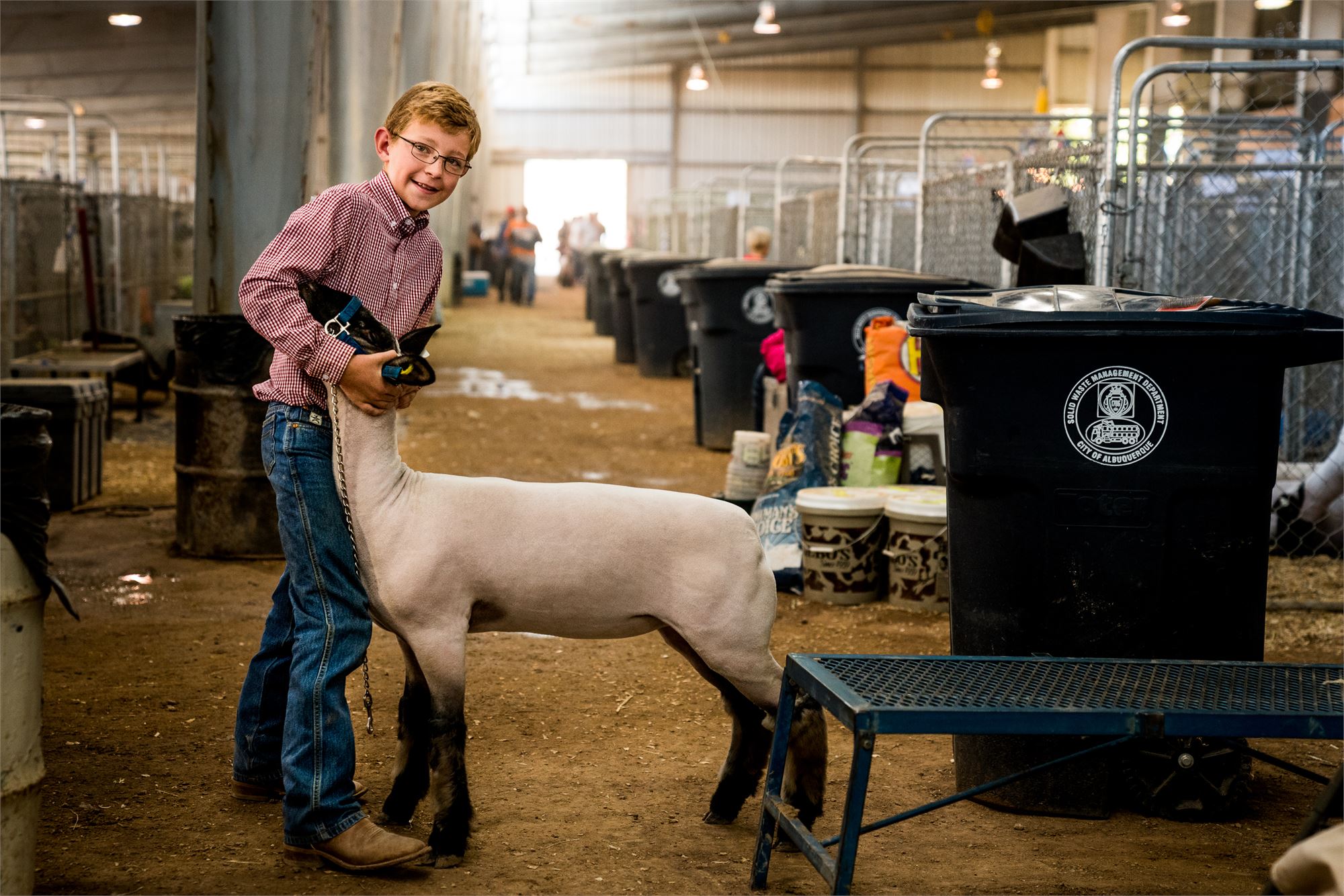 livestock-shows