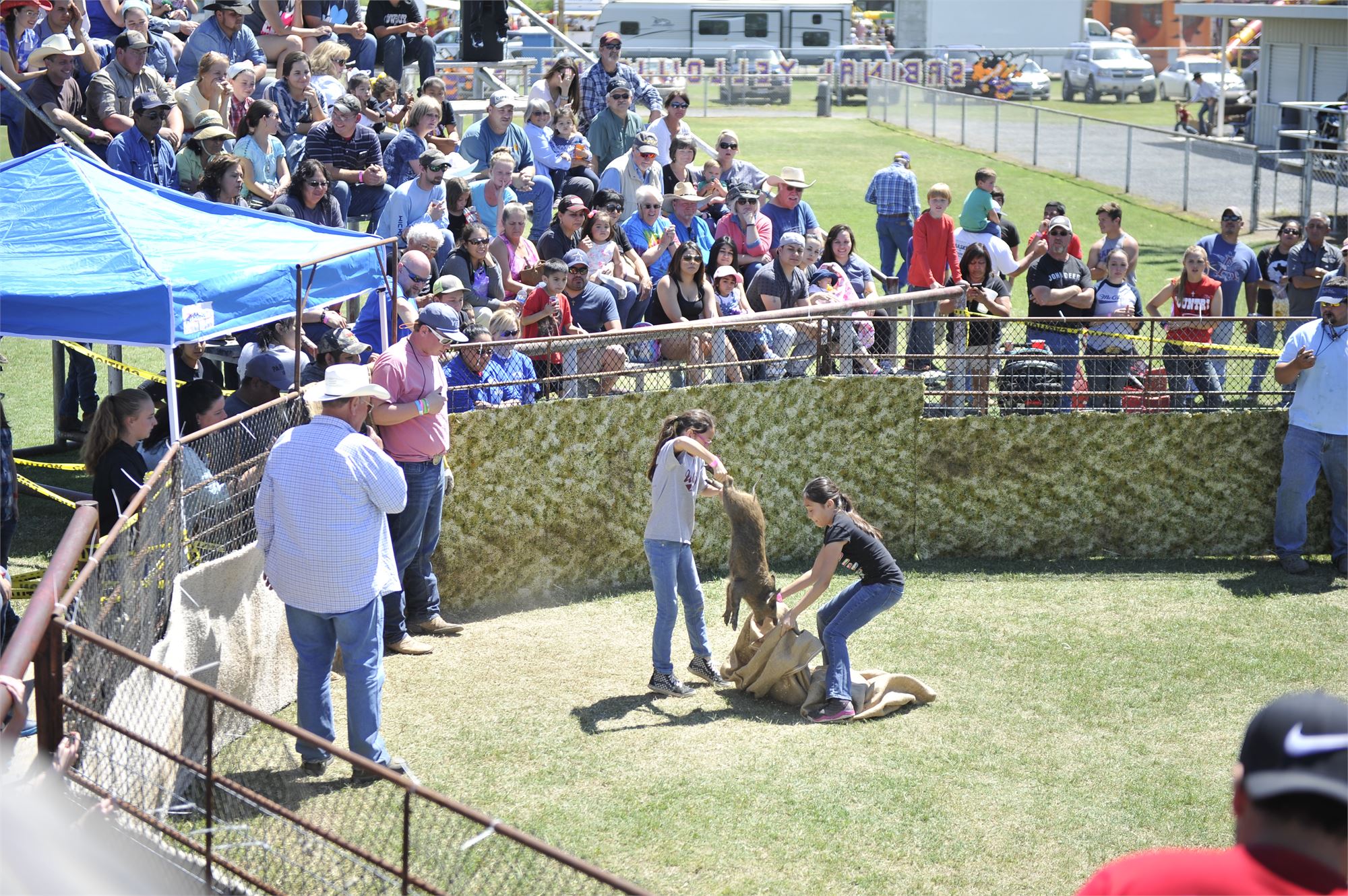 Wild Hog Festival