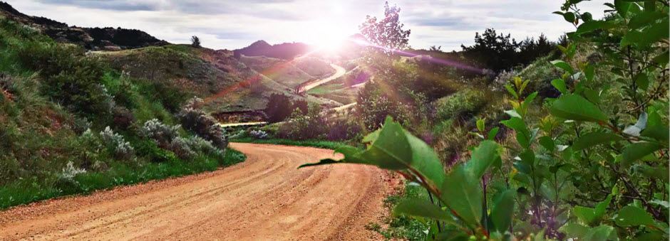 ATV Trails/Roads