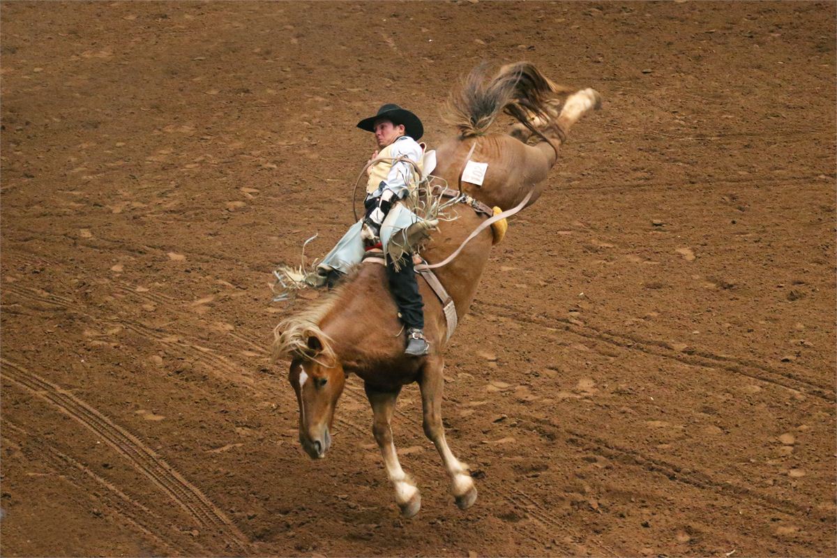 Heart O' Texas Fair & Rodeo Media Guide