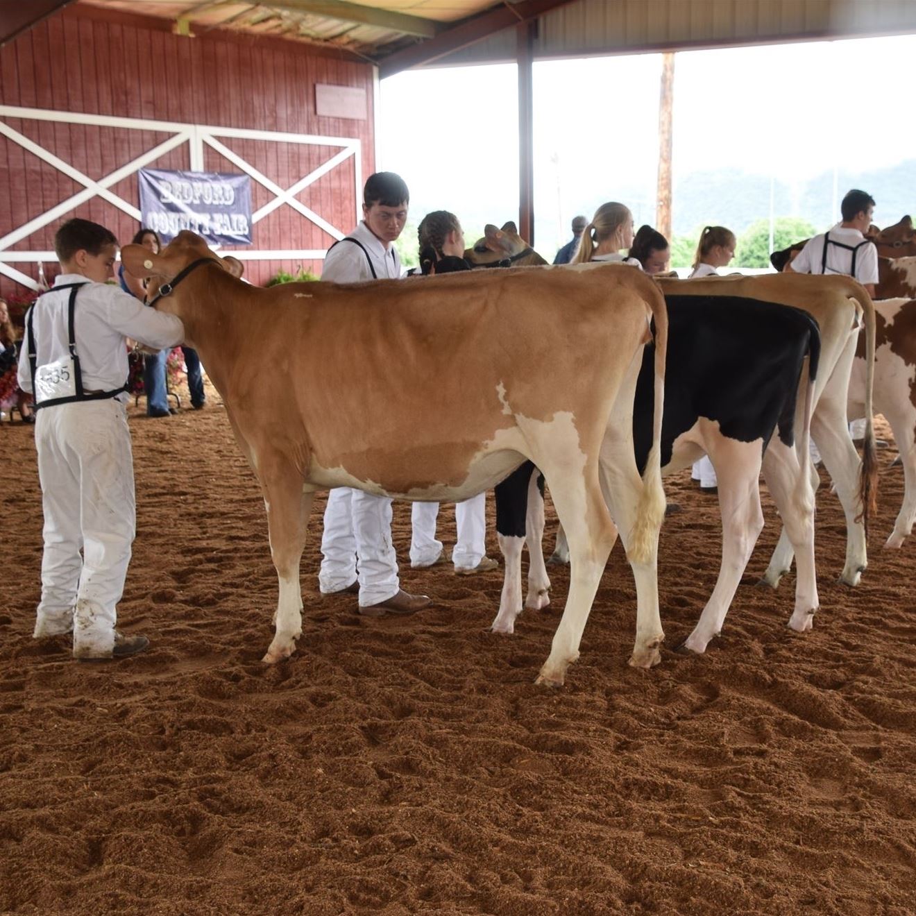 Department 102 - Junior Dairy & Junior Dairy Beef