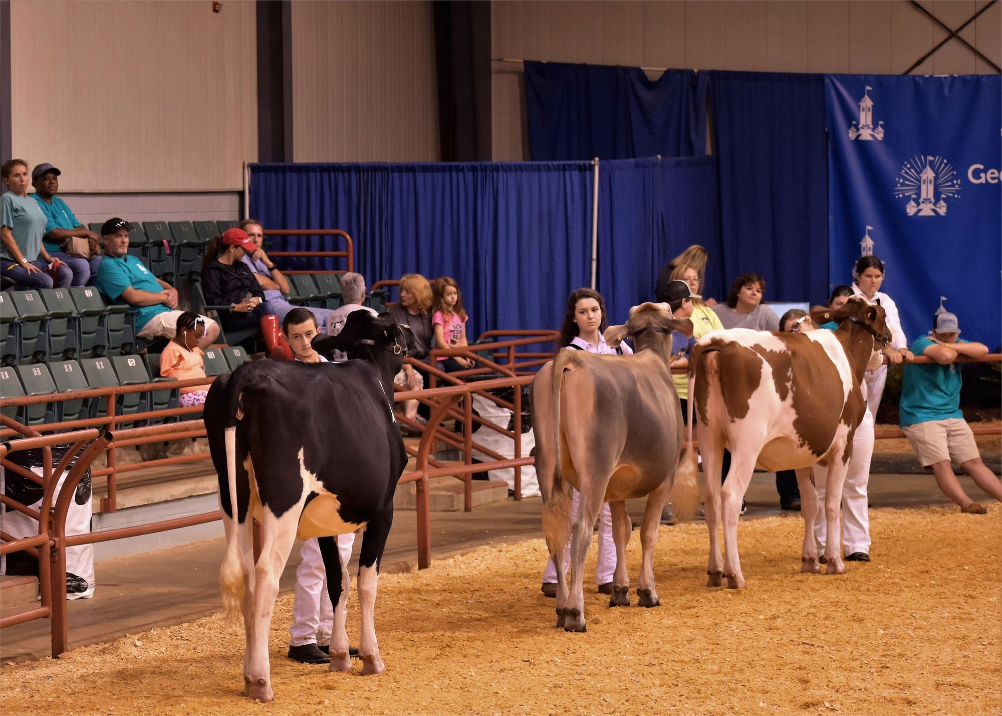 Livestock Competitions