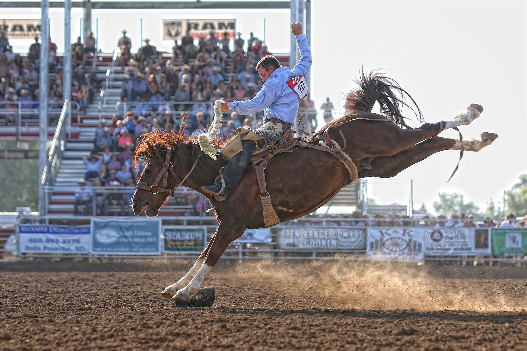 2X PRCA Medium Sized Rodeo of the Year 2018 & 2019