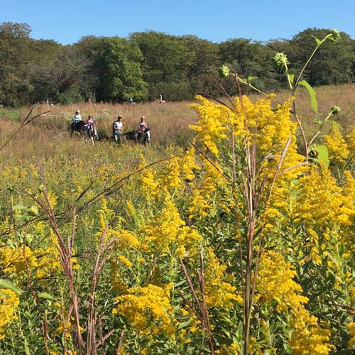 neighborhood dating sites