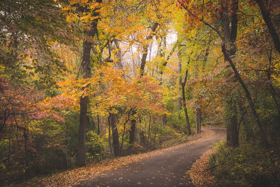 Fall Foliage Driving Trails