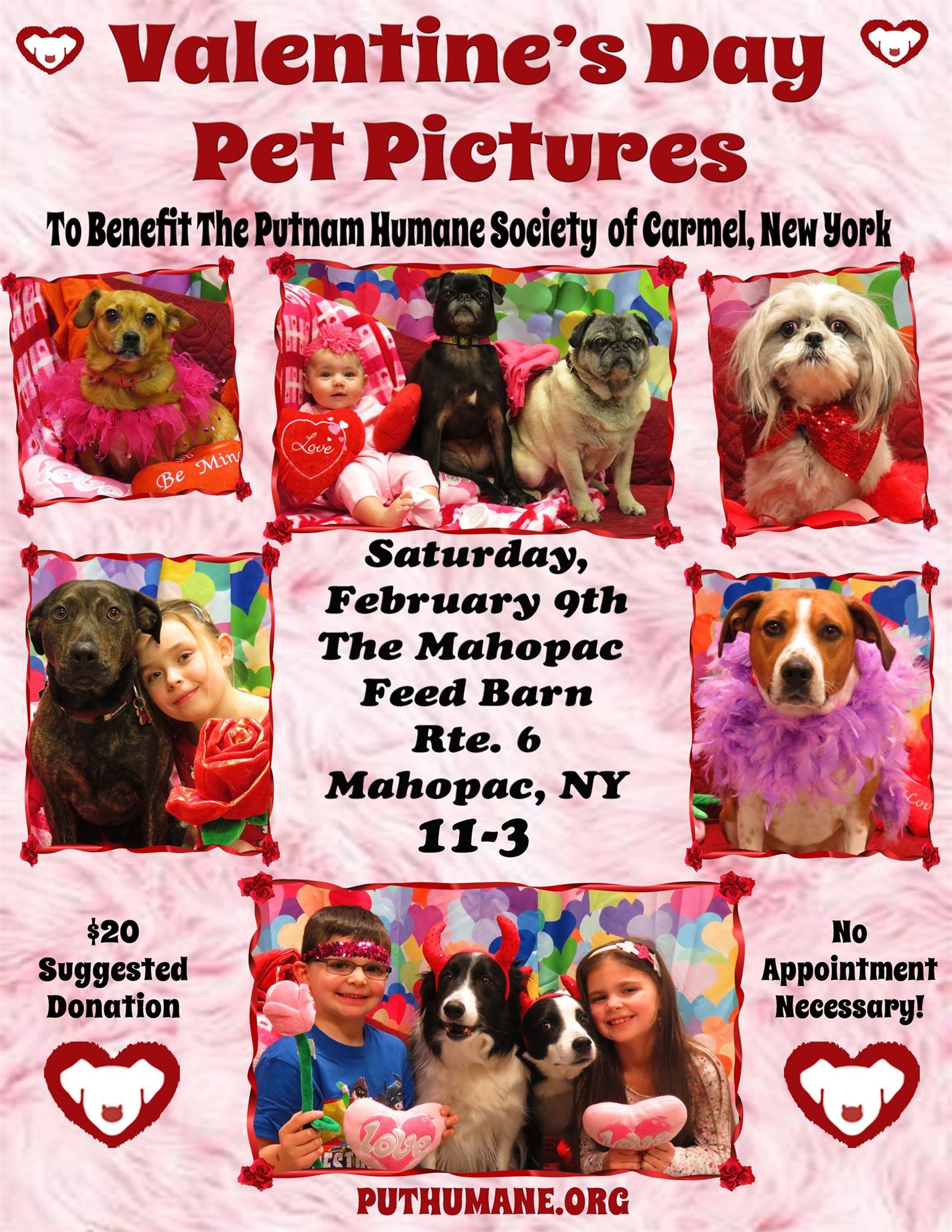 Valentine S Day Pet Pictures