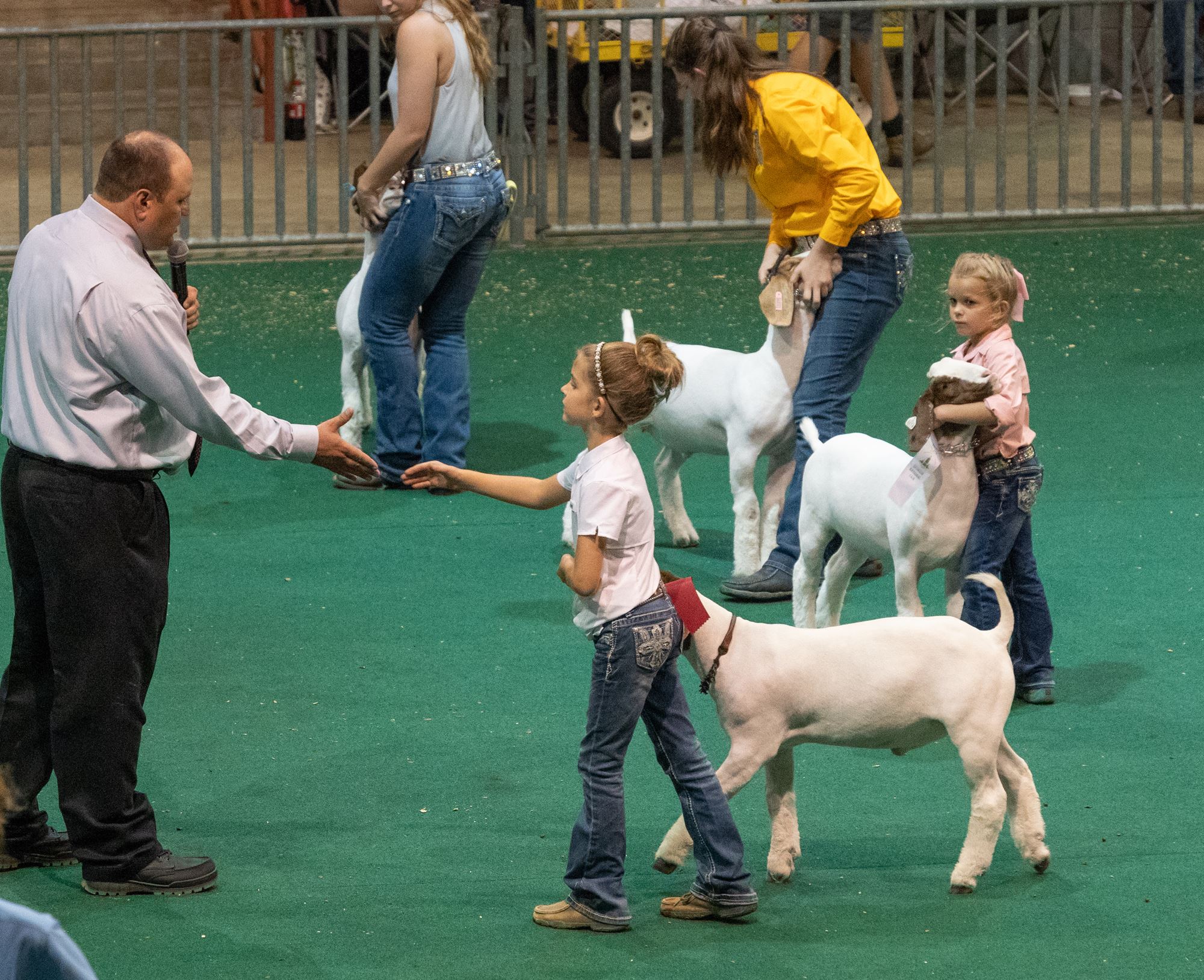 Livestock Competitions