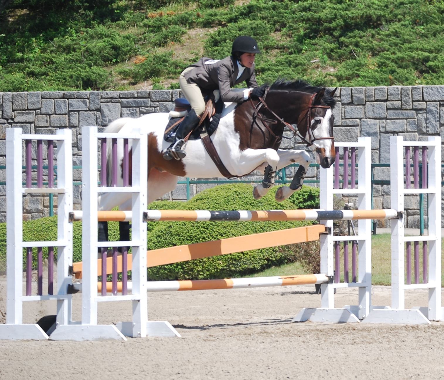 Conyers Cherry Blossom Festival