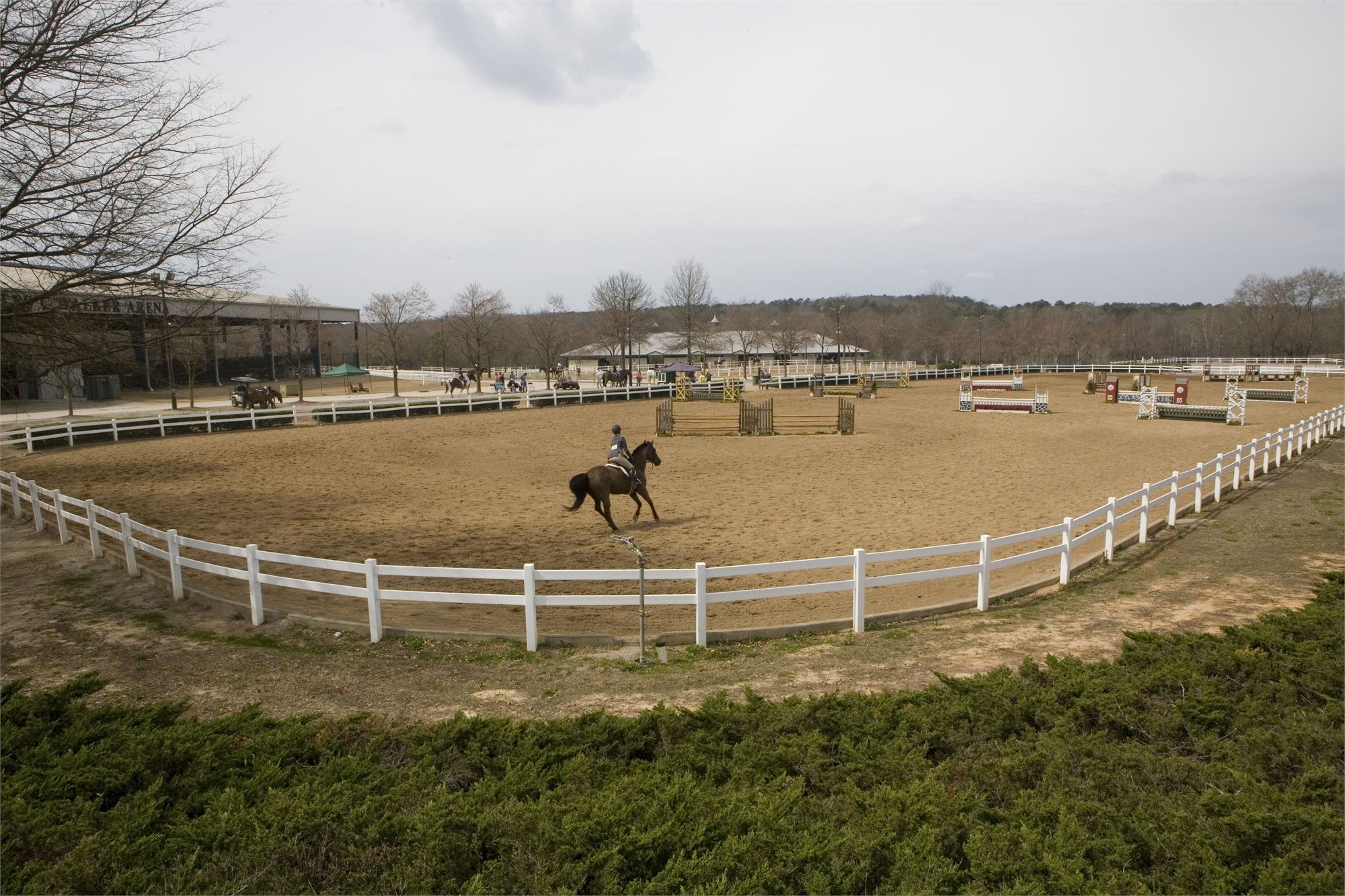 Equestrian Events