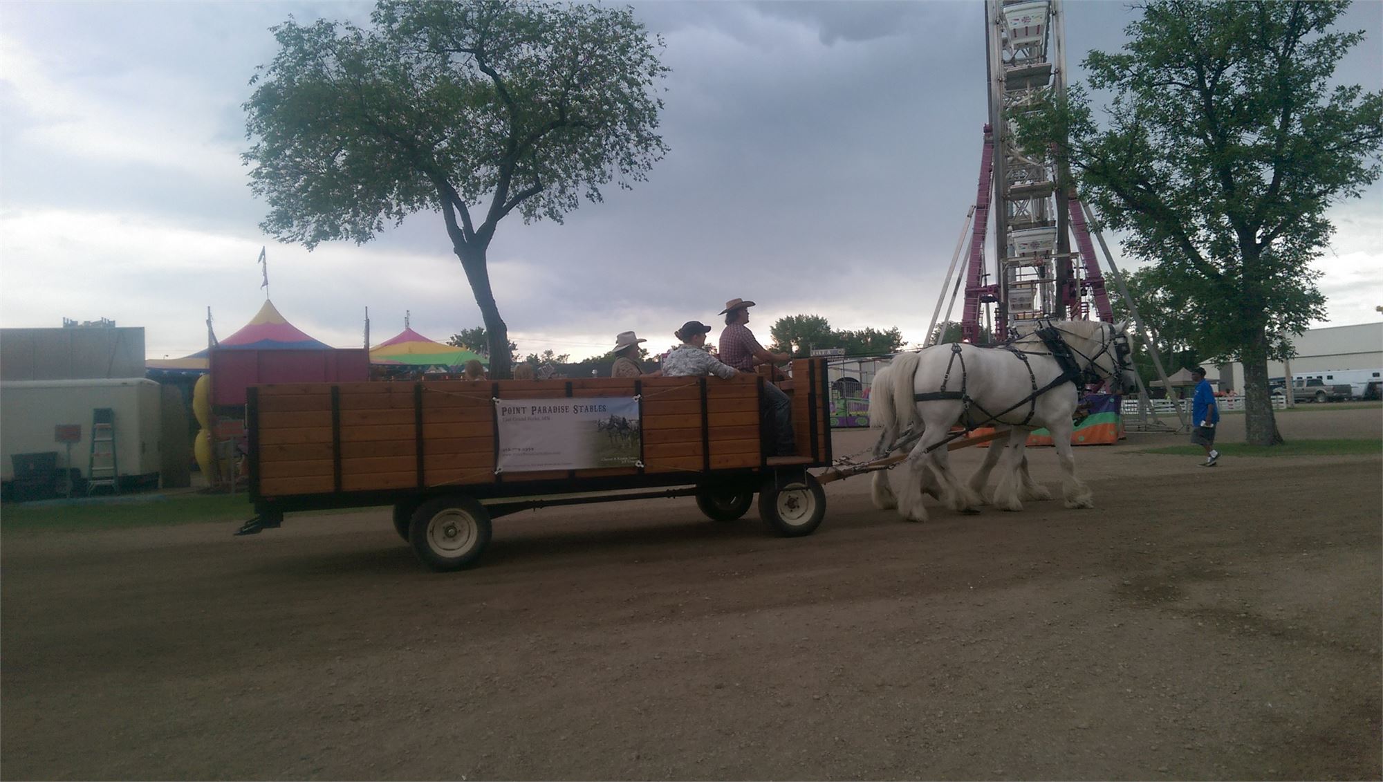 Pony Rides and Wagon Rides