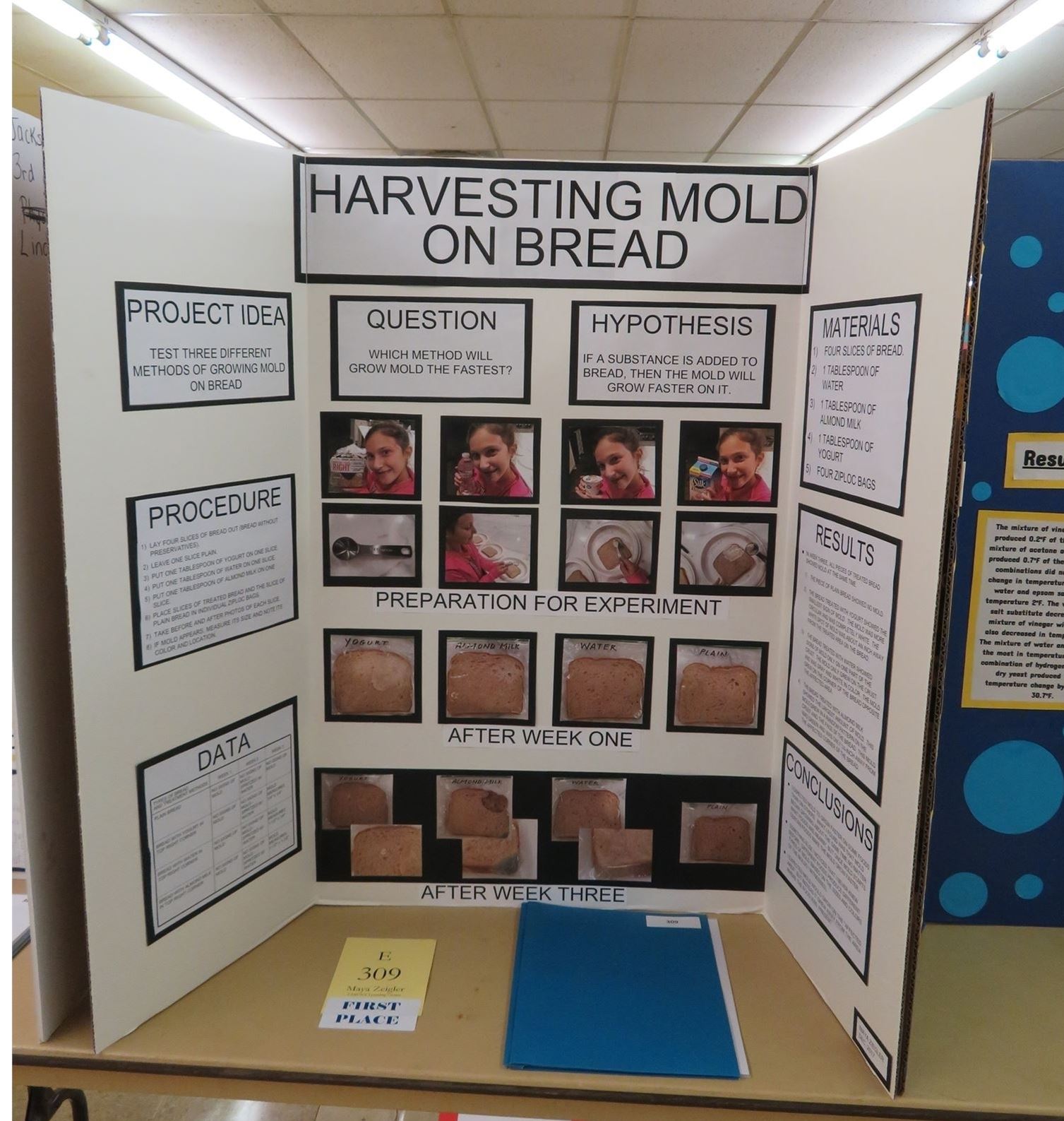 Best Templates: Mold Bread Project