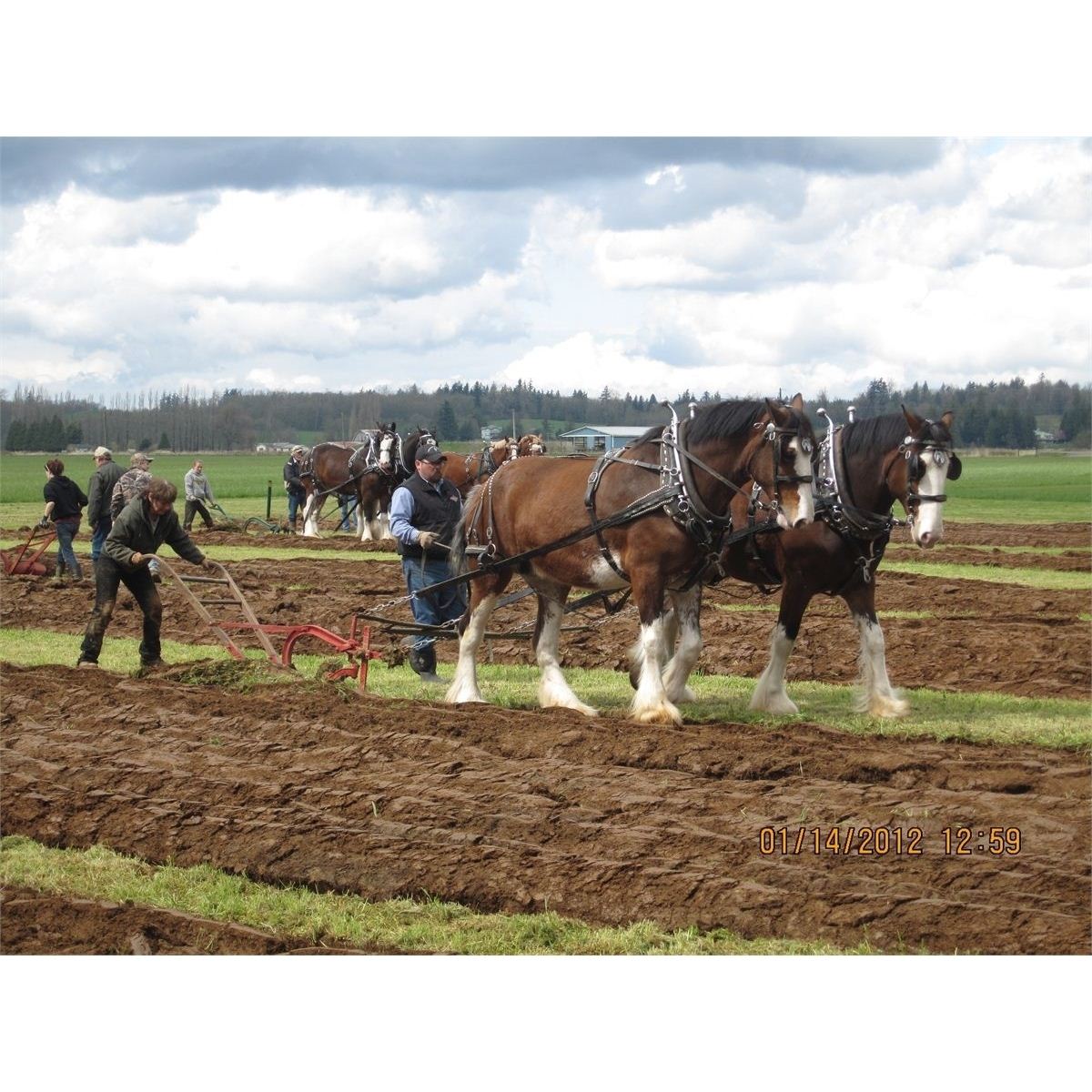 International Plowing Match