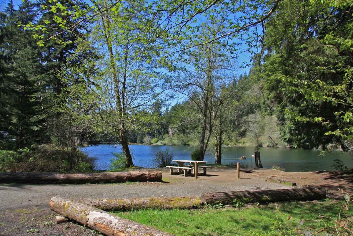 Discover Lake Sylvia Fall Festival