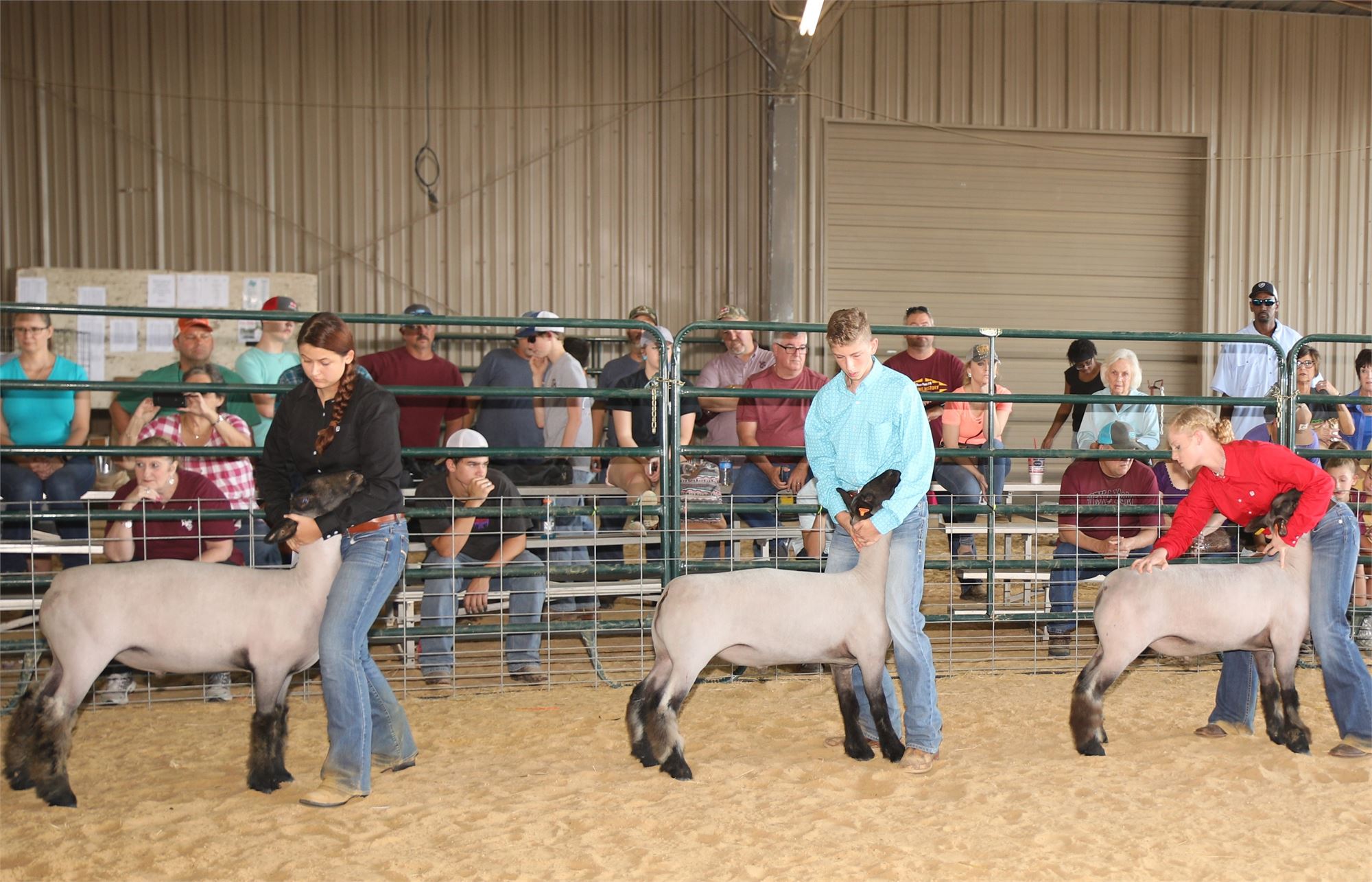 Livestock Information, Rules, & Forms