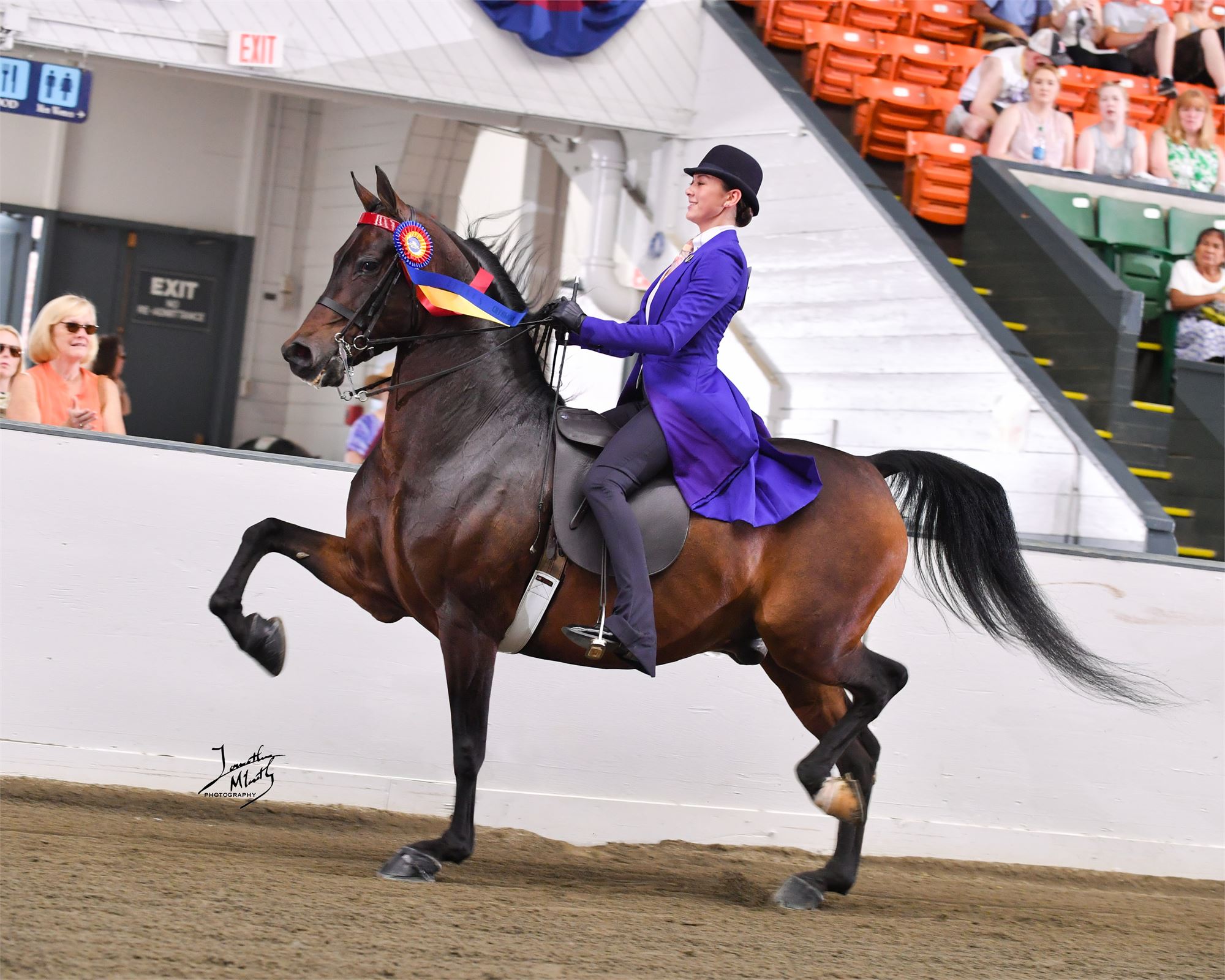 Eastern States Exposition Horse Show