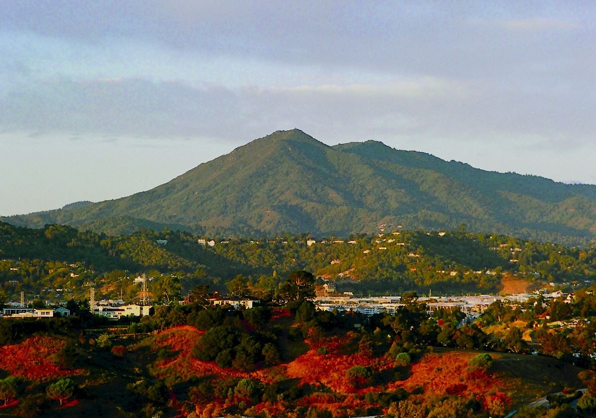 Mount Tamalpais State Park