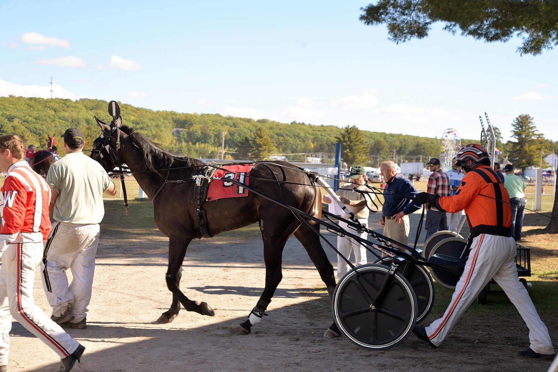 Harness Racing