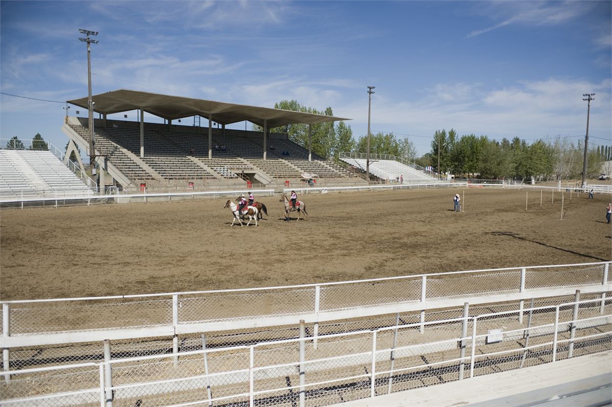 Rodeo Arena 800 Per Day