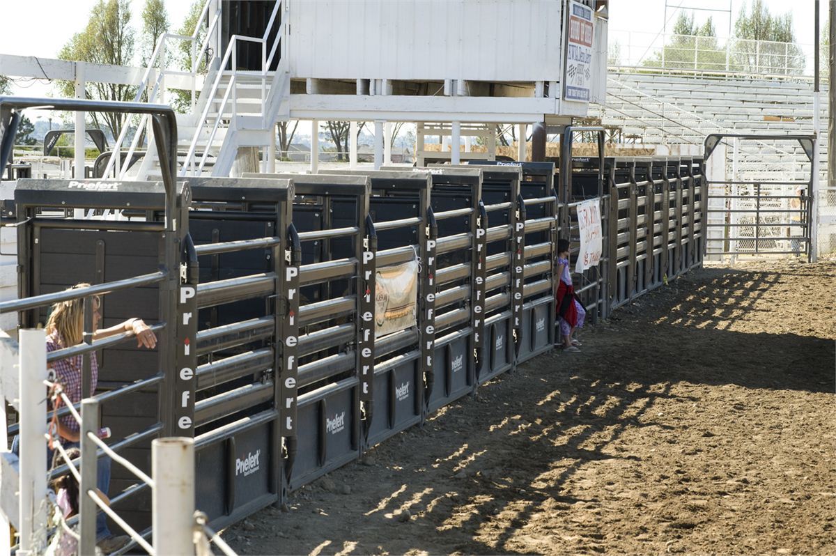Rodeo Arena 800 Per Day