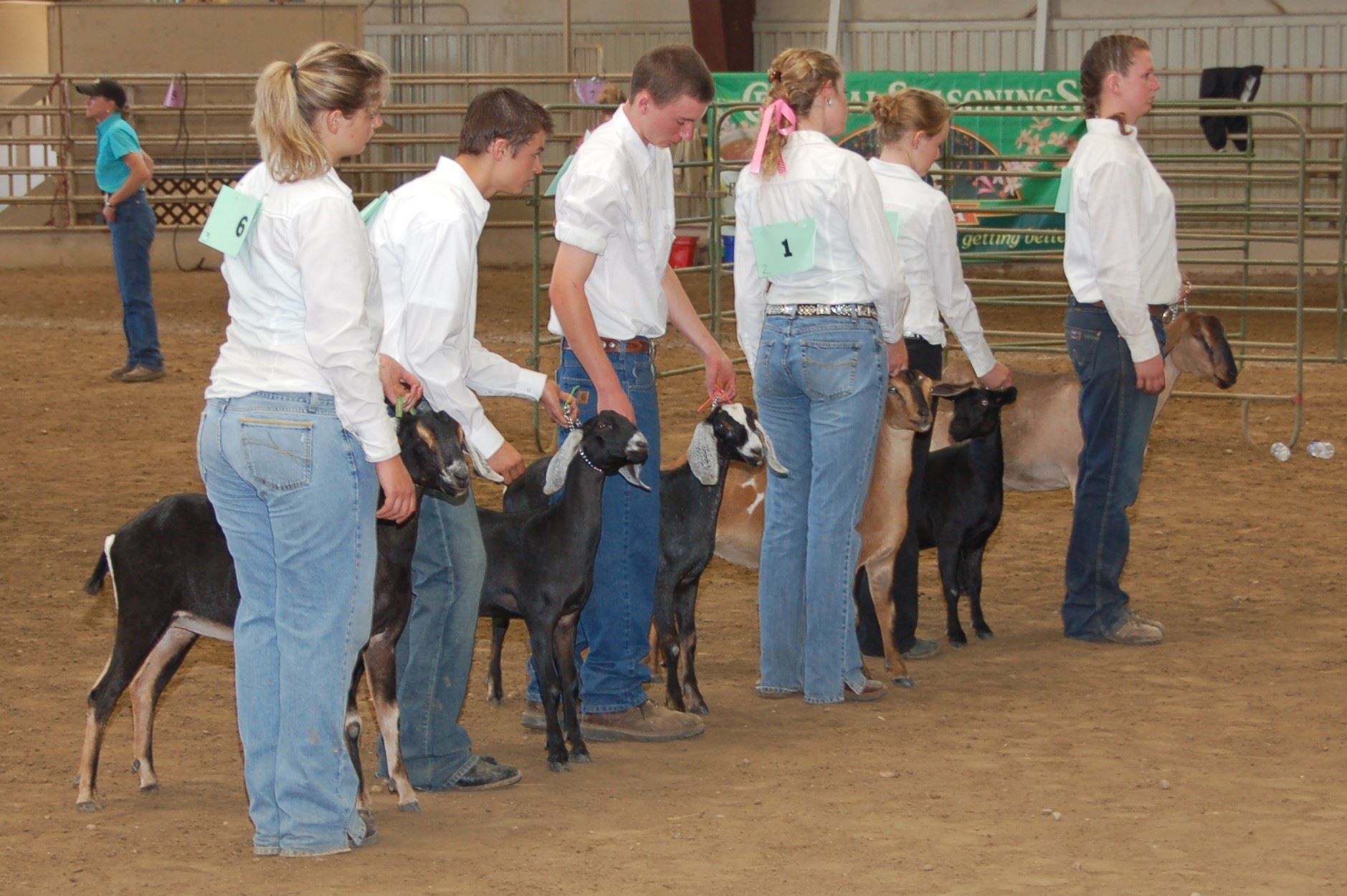 4-H & FFA Livestock