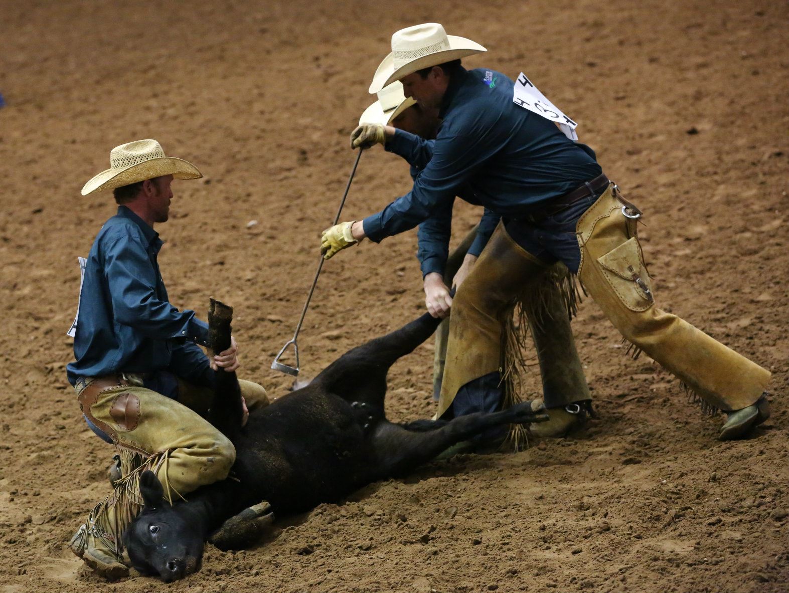 Haythorn Land & Cattle Co.