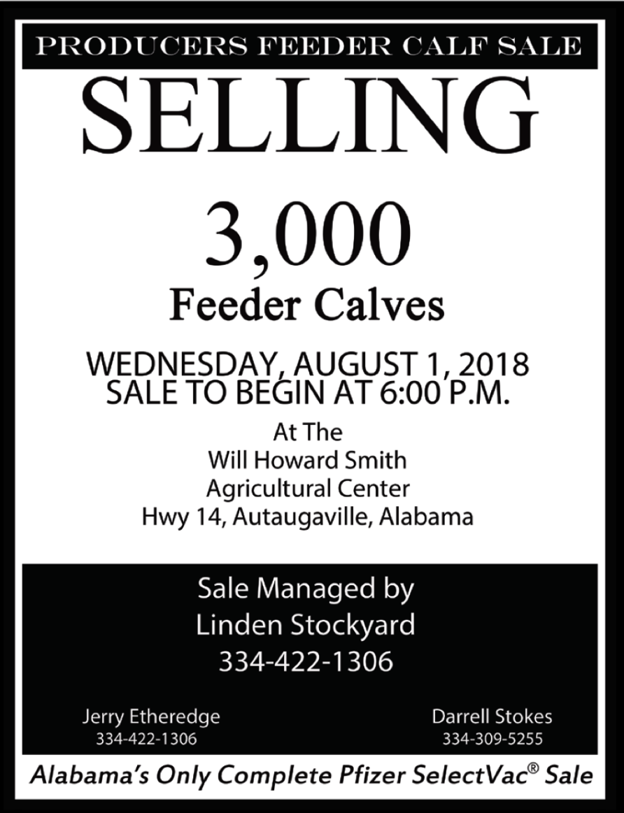 Producers Feeder Calf Sale