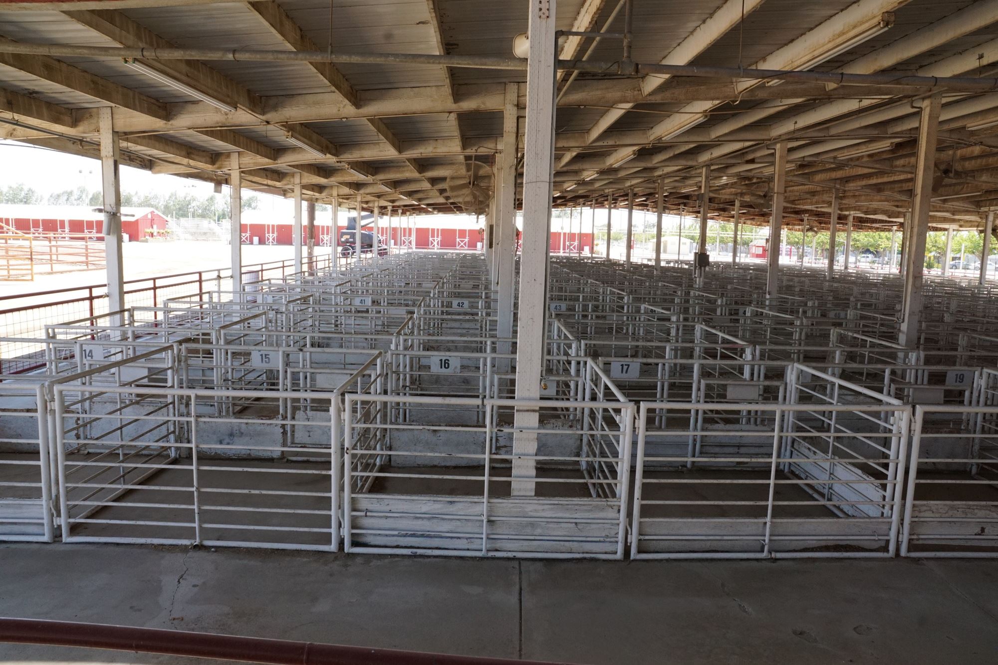 Livestock Barns and Arenas