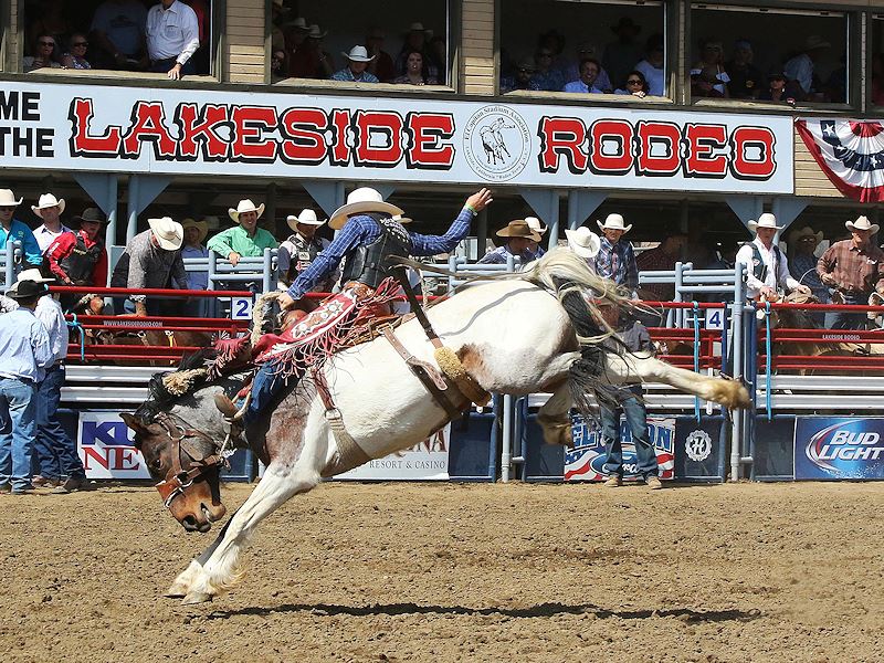 Lakeside Rodeo Talent and The 7 Events of Rodeo