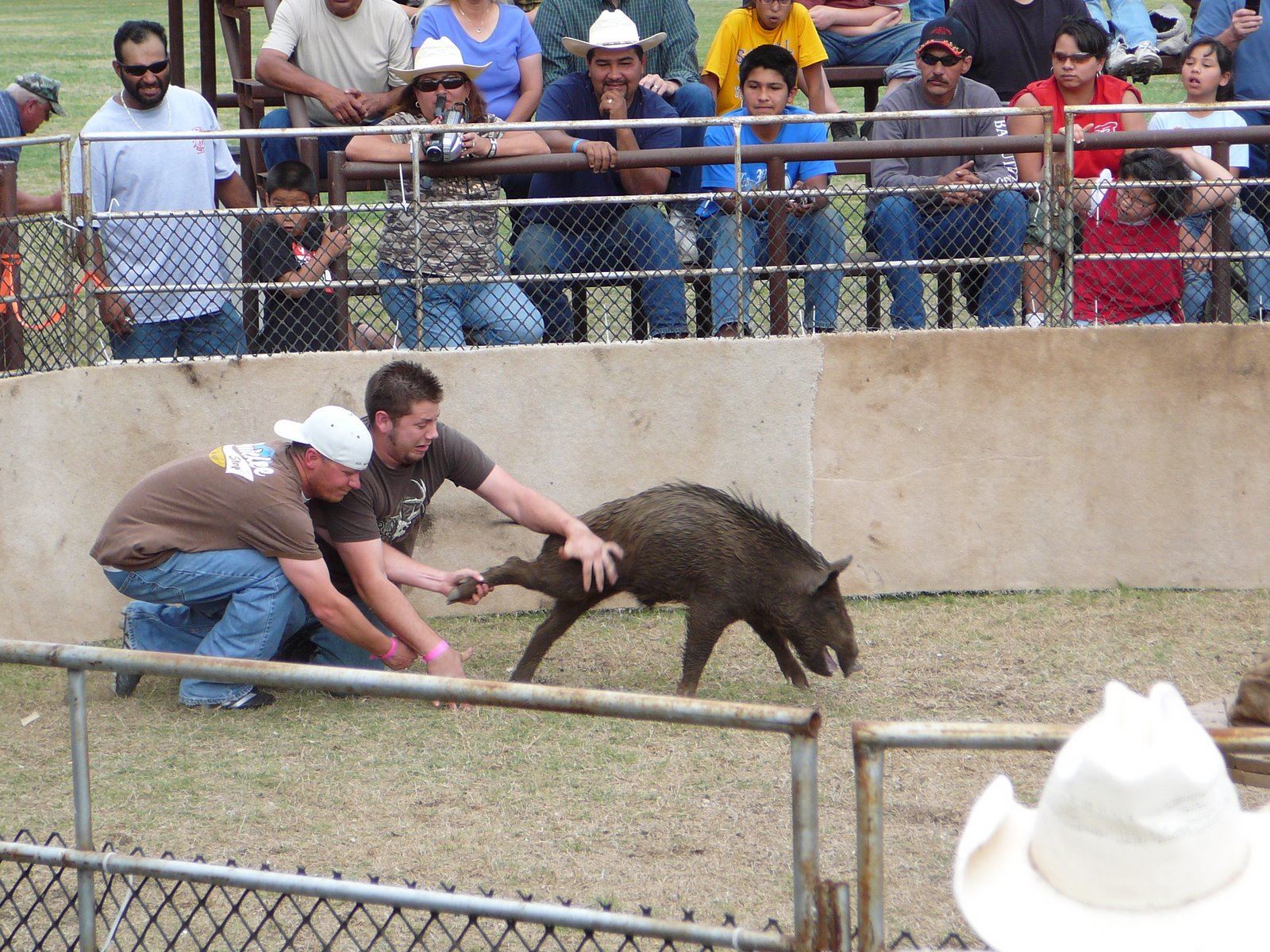 Wild Hog Festival