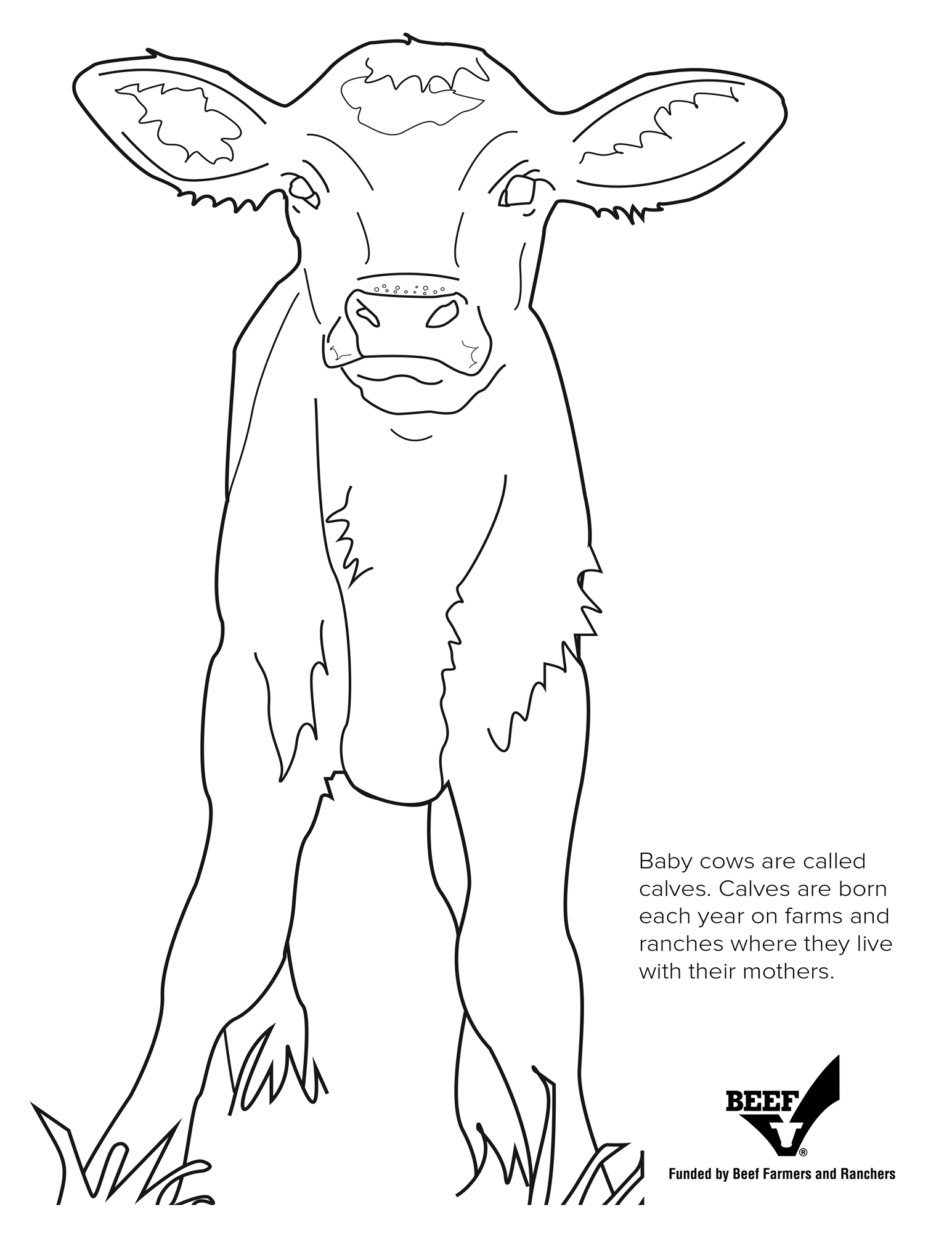 Cow And Calf Coloring Pages Coloring Pages