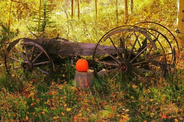 Thanksgiving In Bandera