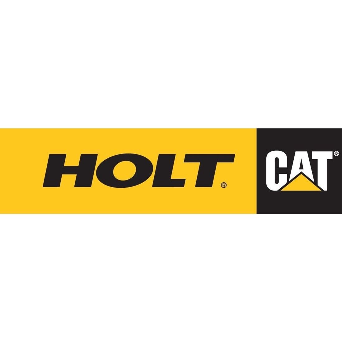 HoltCat