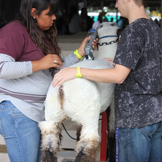 2021 Glenn County Fair