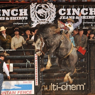 Cinch Shoot Out