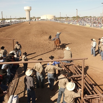 Cinch Roping Fiesta