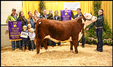 4 H Beef Auction 4 H Beef Auction