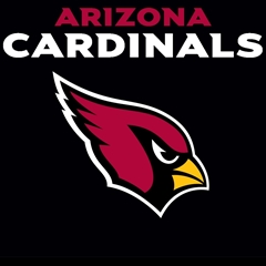 Image result for arizona cardinals